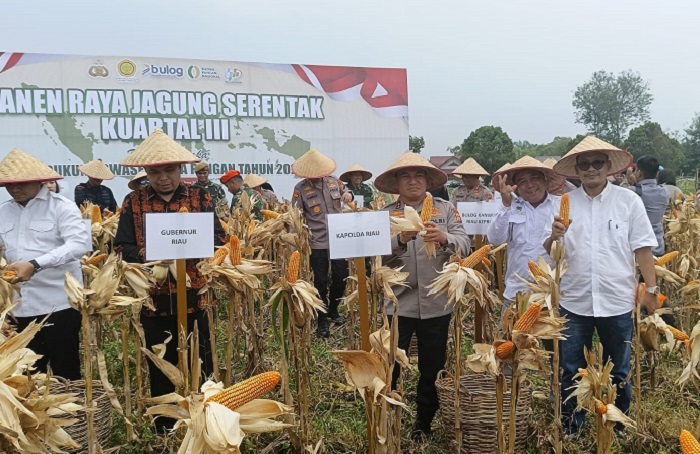 Kapolda Riau Pimpin  Panen Raya Serentak Jagung Pipil di BBI Hortikultura Pekanbaru
