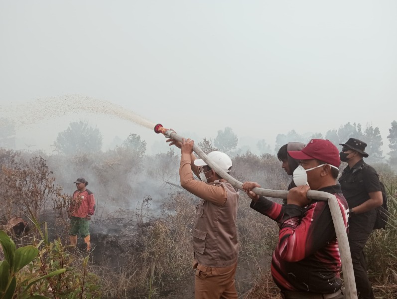 Kebakaran Lahan Gambut Kerumutan Tembus 969 Hektare, Tim Gabungan Terus Berjuang