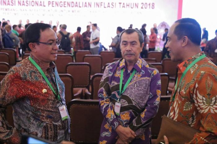 Bupati Inhil Hadiri Rakornas TPID ke-7 di Jakarta