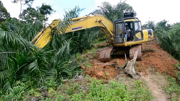 JANGAN DIBAKAR, Pemprov Riau Sediakan 12 Ekskavator Bila Petani Perlu Bantuan Membuka Lahan Perkebunan