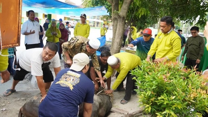 Kemenag Riau Laksanakan Qurban 3 Sapi dan 1 Kambing