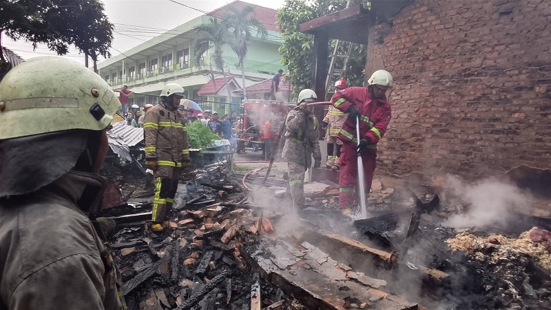 DPKP Pekanbaru Gerak Cepat Atasi Kebakaran di Tenayan Raya