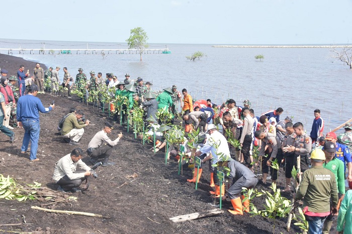 Bupati Kasmarni Sambut Baik, Kegiatan Penghijauan dan Penanaman Mangrove Program Unggulan Kasad TNI AD