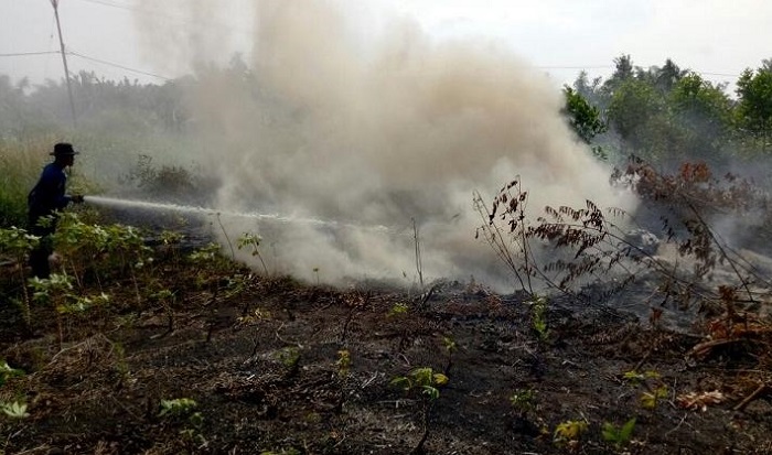 Sepanjang 2018, Sebanyak 1.596,86 Hektar Lahan di Riau Terbakar