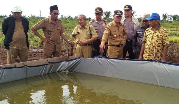 Pemkab Meranti Apresiasi Peneliti IPB Kembangkan Tumpang Sari Tanaman Sagu di Tanjung Peranap