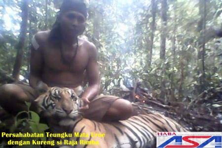 Ini Kisah Sejati Persahabatan Manusia dengan Harimau Sumatera di Kluet Aceh Selatan