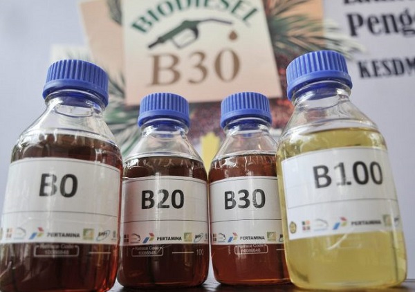Kabar Biodiesel B30 Dipangkas Berembus