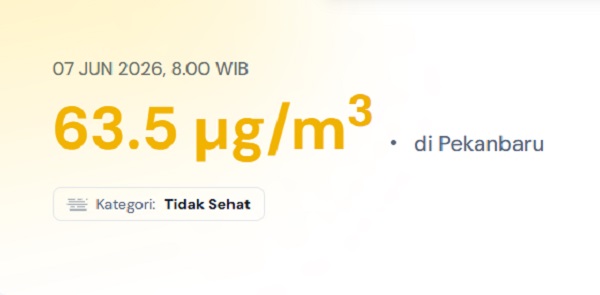 Meski Masih Tidak Sehat, Kualitas Udara Pekanbaru Terus Membaik