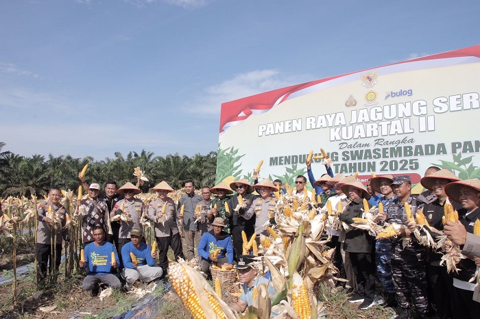 Kapolda Riau  Panen Raya Jagung Milik kelompok Tani Amara Jaya di Uka