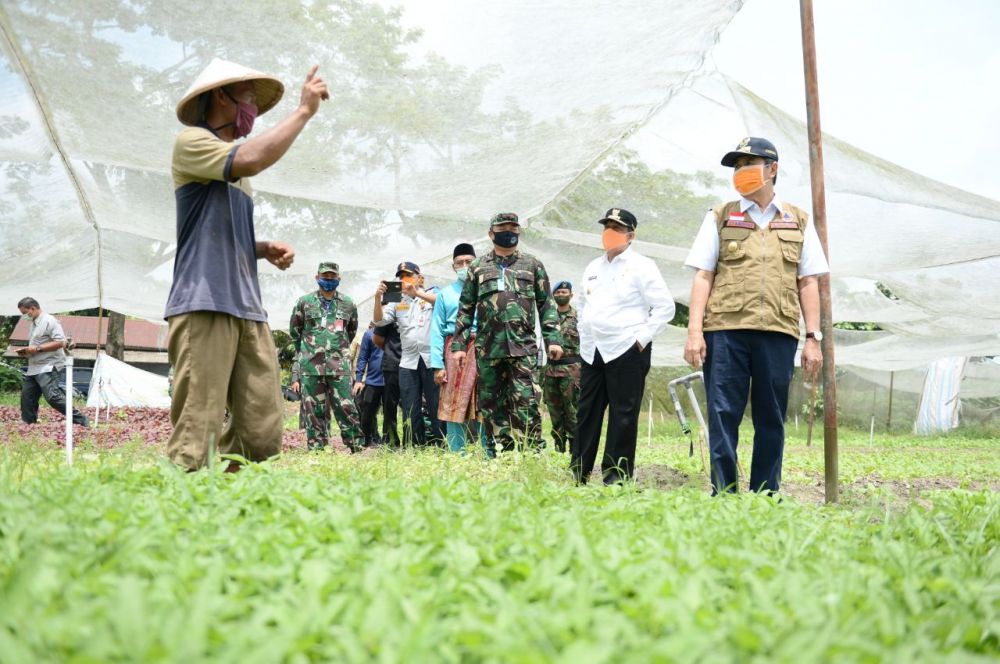 Jaga Ketahan Pangan Riau, Gubri Tinjau Perkebunan Sayur Kawasan Lanud