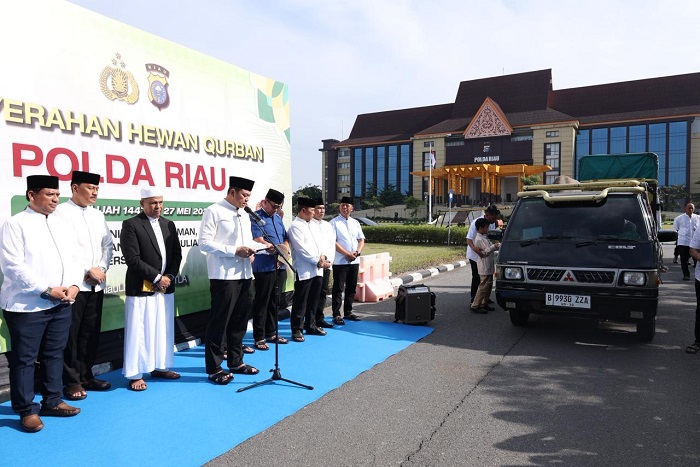 Polda Riau Salurkan 195 Hewan Kurban  Hingga Pelosok Desa di Riau