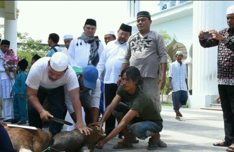 Usai Solat Ied, Sekda Bengkalis Tinjau Pemotongan Hewan Kurban