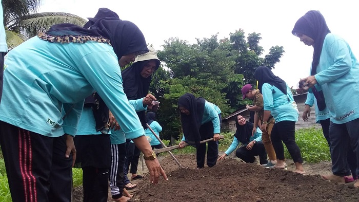 Nilai Tukar Petani di Riau 145,32 pada Juni 2023