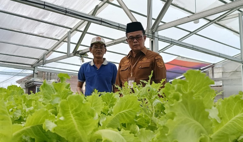 Kadis Ketahanan Pangan Tinjau Aktivitas KWT di Perhentian Marpoyan