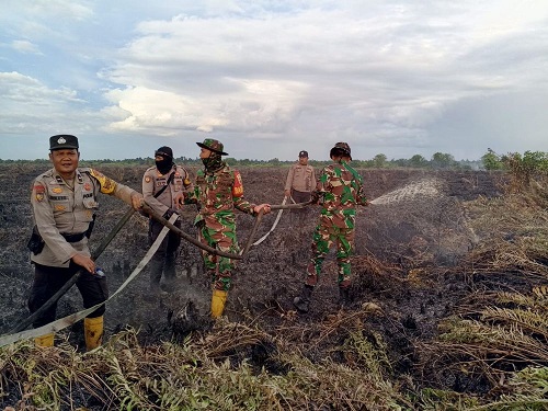 12 Kabupaten/Kota di Riau Resmi Tetapkan Status Darurat Karhutla