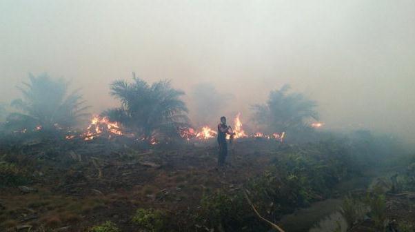 Pangdam Marahi Dandim Terkait Kebakaran Lahan dan Hutan di Dumai