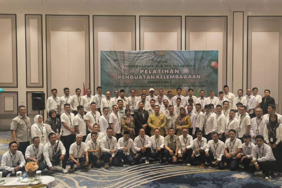 Pelatihan BPDP Sasar Riau: Petani Sawit Bengkalis, Rohul, dan Rohil Siap Naik Kelas