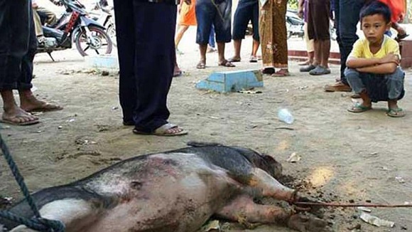 Nakut-nakutin, Suprapto Lepas Baju dan Celana Saat Terpergok Sedang Mencuri Supaya Dikira 'Babi Ngepet'