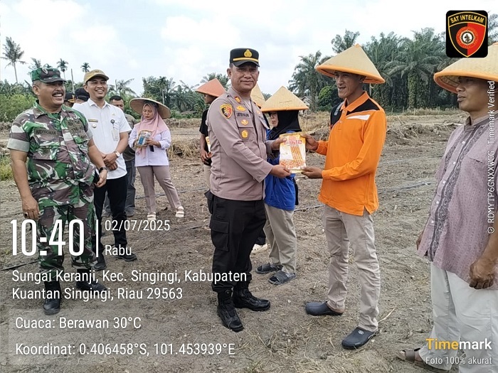 Polres Kuansing Dukung Program Ketahanan Pangan Lewat Penanaman Jagung Pipil di Dua Kecamatan