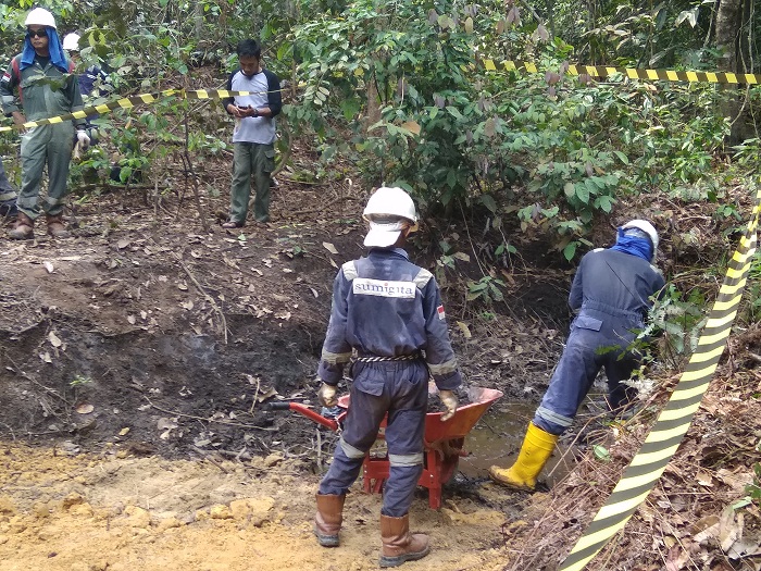 WWF Soroti Pusat Pelatihan Gajah Tercemar  Limbah Chevron di Minas