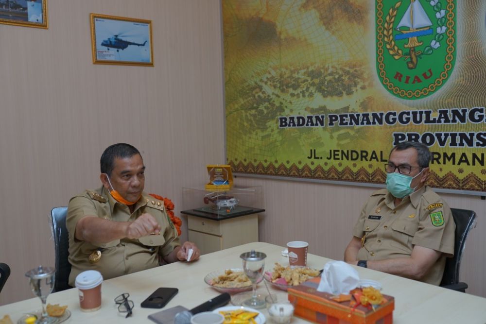 Atasi Karhutla, Wagubri akan Berdayakan Tim Satgas Penertiban Perkebunan Ilegal Riau