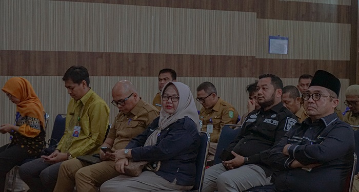 Upaya Preventif dalam Pengendalian Korupsi, Pemko Dumai Bersama Perwakilan BPKP Riau Gelar Sosialisasi MPAK