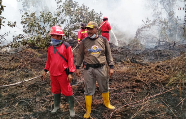 Kota Langgam Diselimuti Asap Tebal, 35 Hektar Lahan Terbakar