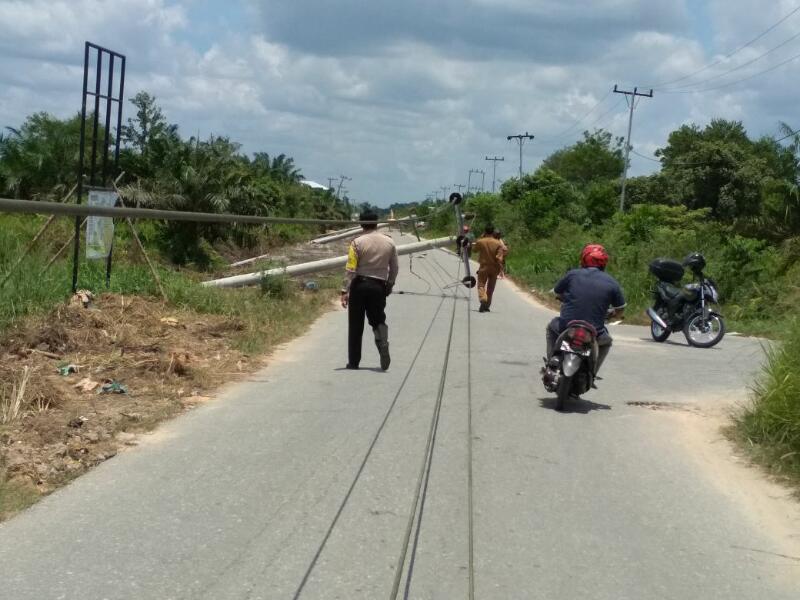 GAWAT...7 Tiang Listrik Tengangan Tinggi Milik PLN di Pangkalan Kerinci Timur Roboh dan Memercikan Api