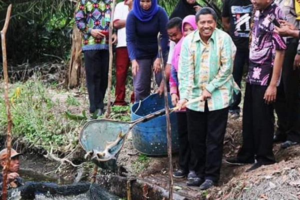 Menggembirakan, Produksi Ikan Siak Setahun Capai 4.135 Ton