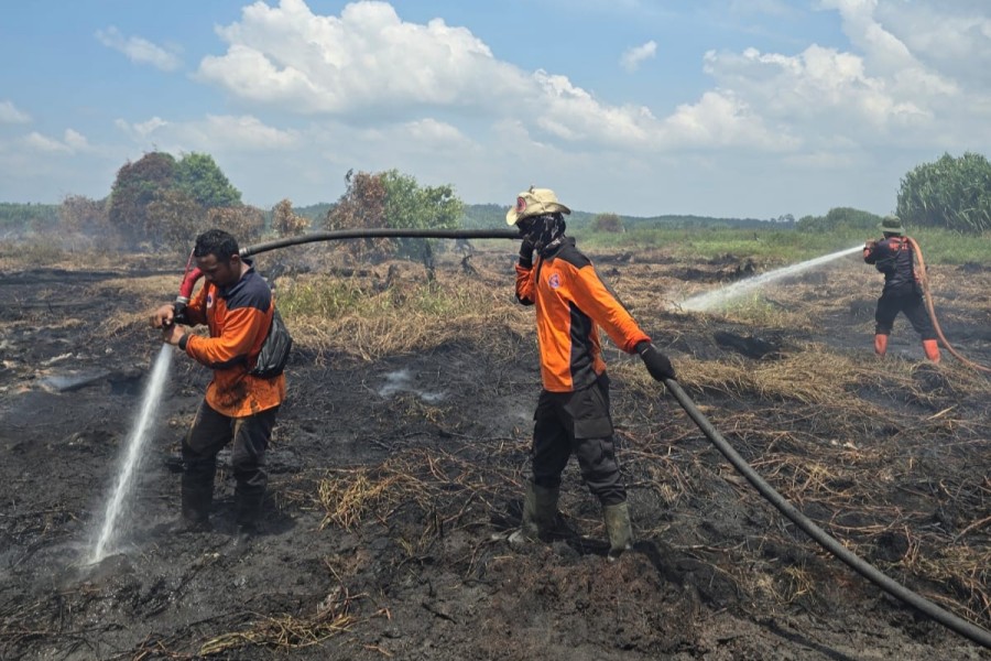 Pemkab Rohil Tetapkan Status Darurat Karhutla Hingga November