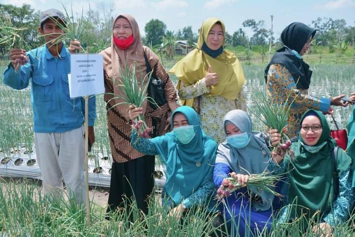 Buka Kegiatan Lomba Hatinya PKK, Rasidah: Lomba Jadi Penyemangat Bertanam di Halaman