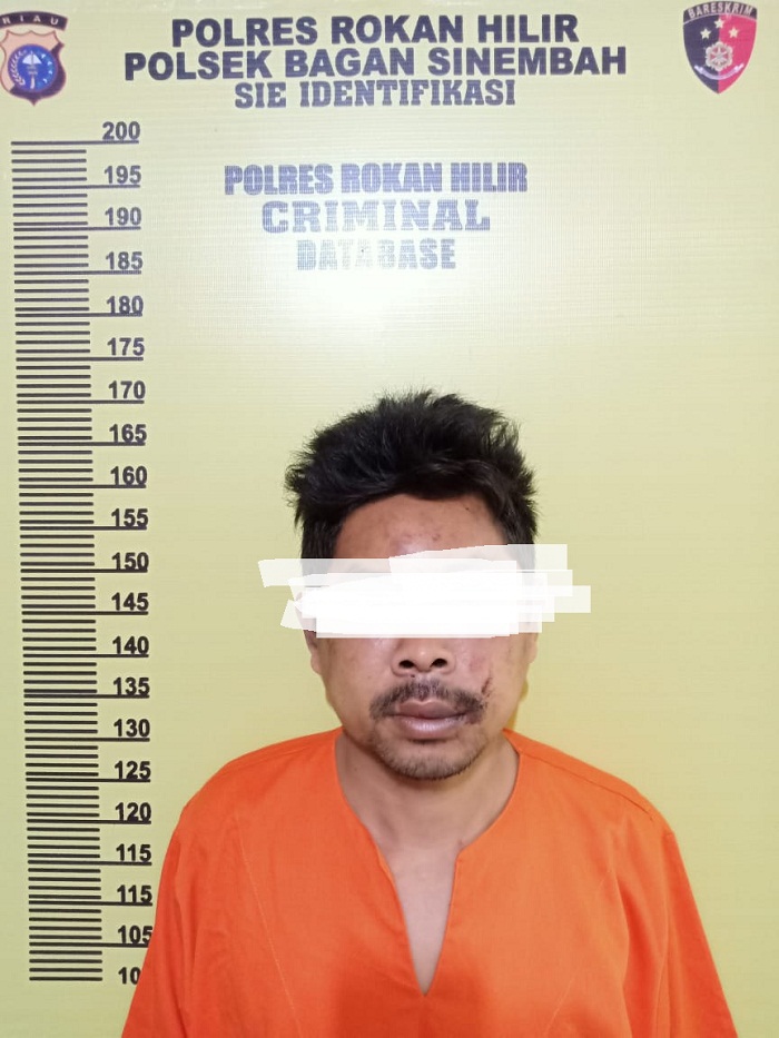 Ditinggal Pemilik Pulang Kampung, Rumah Warga Rohil Dibobol Maling, Pria Ini Pelakunya