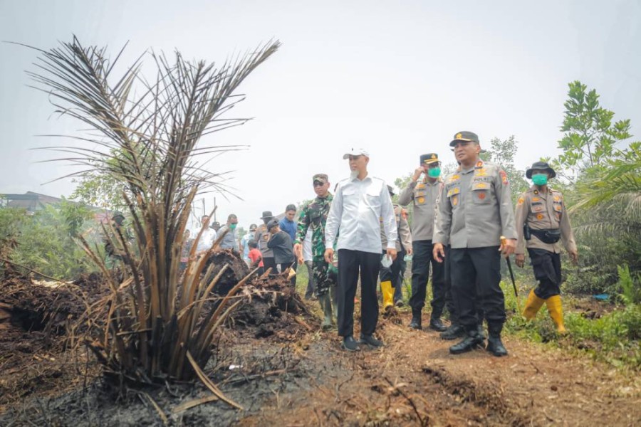 Wali Kota Dumai Bersama Kapolda Riau Pantau  Pemadaman Karhutla di Tanjung Palas