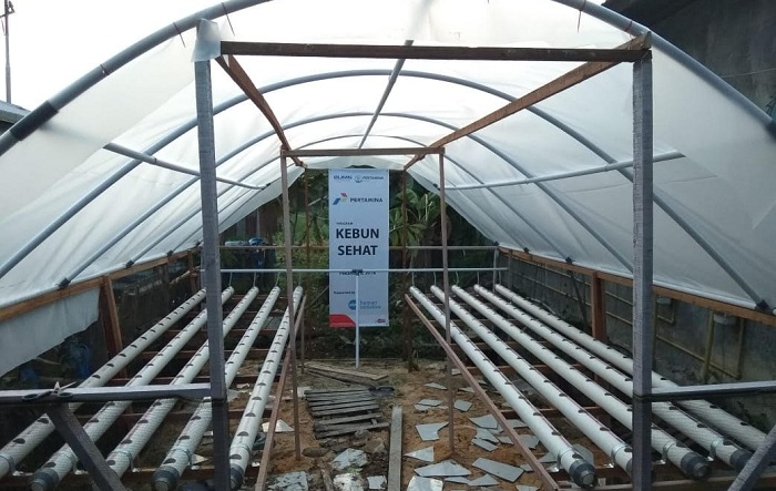 Masyarakat Binaan Pertamina TBBM Sei Siak Manfaatkan Pupuk dari Eceng Gondok untuk Kebun Sehat