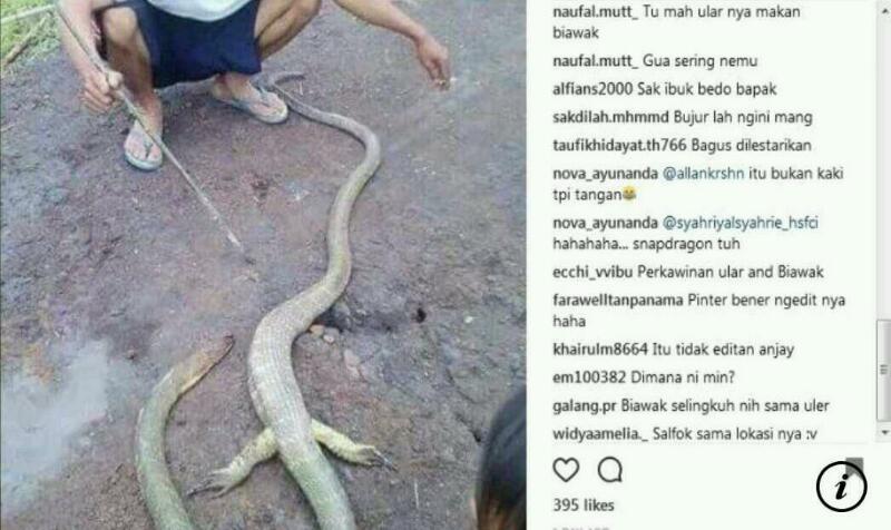 Ular Aneh GEGER Warga Temukan Ular Aneh Berkaki Biawak Benarkah 