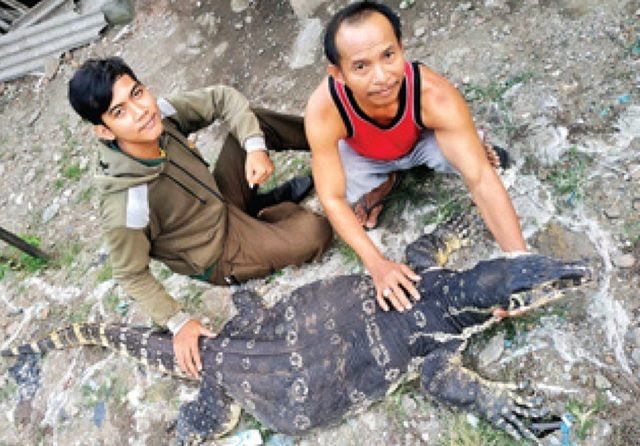 Banyak yang Tak Percaya, Ini Kisah Suparni Memelihara Biawak Raksasa, Pernah Ditawar Rp 10 Juta