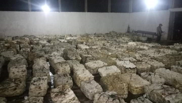 Harga Karet Turun Rp. 93 minggu ini, Petani di Kuansing Masih Optimis Akan Alami Kenaikan