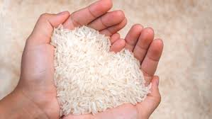 Stok Beras di Riau Cukup Hingga Februari 2024