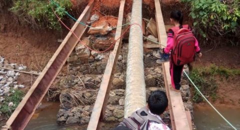 Miris! Belum Ada Jembatan Pengganti, Siswa SD Ini Terpaksa Lintasi Batang Kelapa