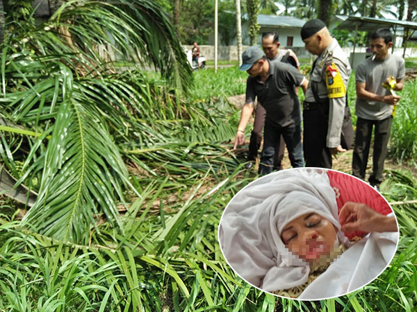 Tragis! Jemput Anak dari Sekolah, Ibu Muda Tewas Tertimpa Pohon Sawit