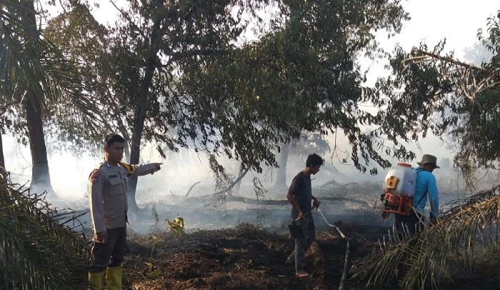Tim Gabungan Padamkan Kebakaran Lahan Gambut 1 Hektare di Siak