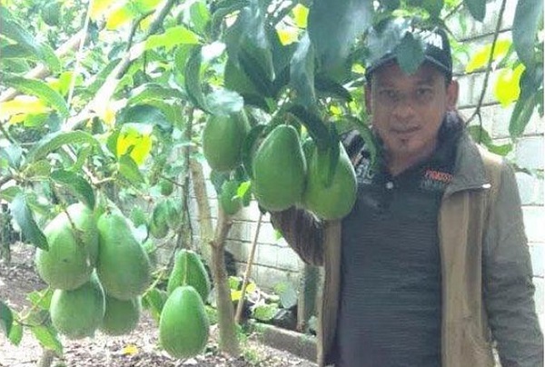 Dari Berkebun Tiap Tahun Pemuda 34 Tahun Ini Bisa Naik Haji Suami Istri dan Beli Mobil Jazz