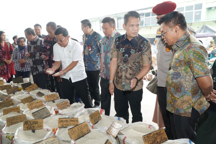 JANGAN SALAH! Bapanas  Jelaskan Ini Yang Dimaksud dengan Beras Oplosan...