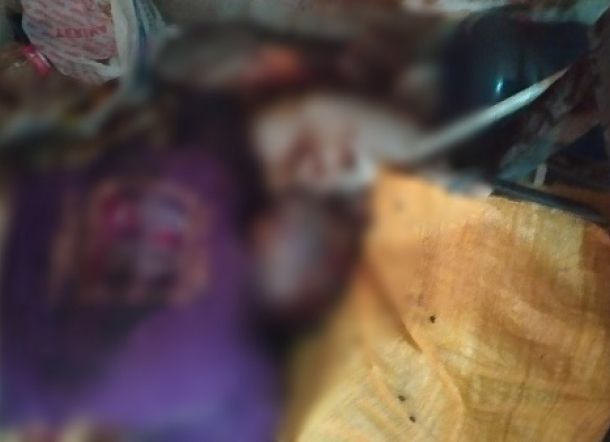 Oh Tuhan! Balita Ini 3 Hari Peluk Sang Ibu yang Sudah Membusuk di Kamar Mandi