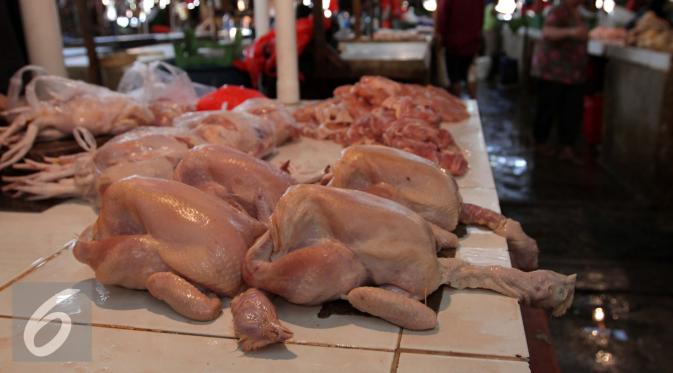 BIKIN KAUM IBU MELOTOT...Harga Ayam di Belantik Siak Tembus Rp40.000 Per Kilogram