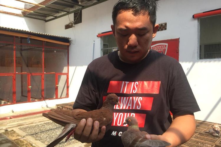Suami Beli Burung Merpati Seharga Rp 1 Miliar, Istrinya Kaget: 'Lu Gila Ya Beli Burung Seharga Rumah?'