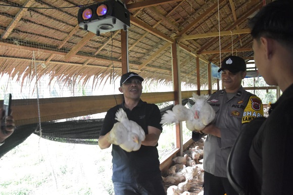 Wabup Bagus Santoso Tinjau Usaha Peternak Ayam Potong Desa Pangkalan Batang Barat