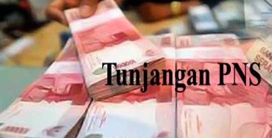 PNS di Instansi Ini Sejahtera, Besar Tunjangannya Menggoda, yang Mendaftar CPNS  dan Lolos, Selamat....