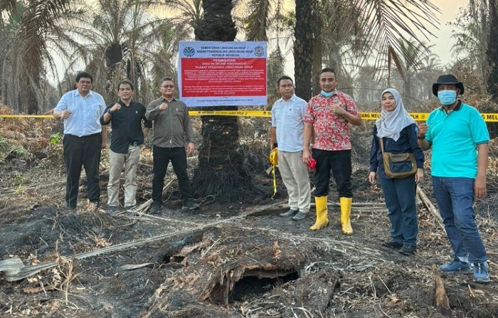 KLH Segel 4 Perusahaan dan Tutup Satu Pabrik Sawit Terkait Karhutla Riau