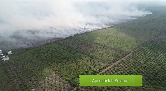 Benar-benar Parah, Hari Ini 73 Hotspot Muncul di Riau, Terbanyak di Sumatera